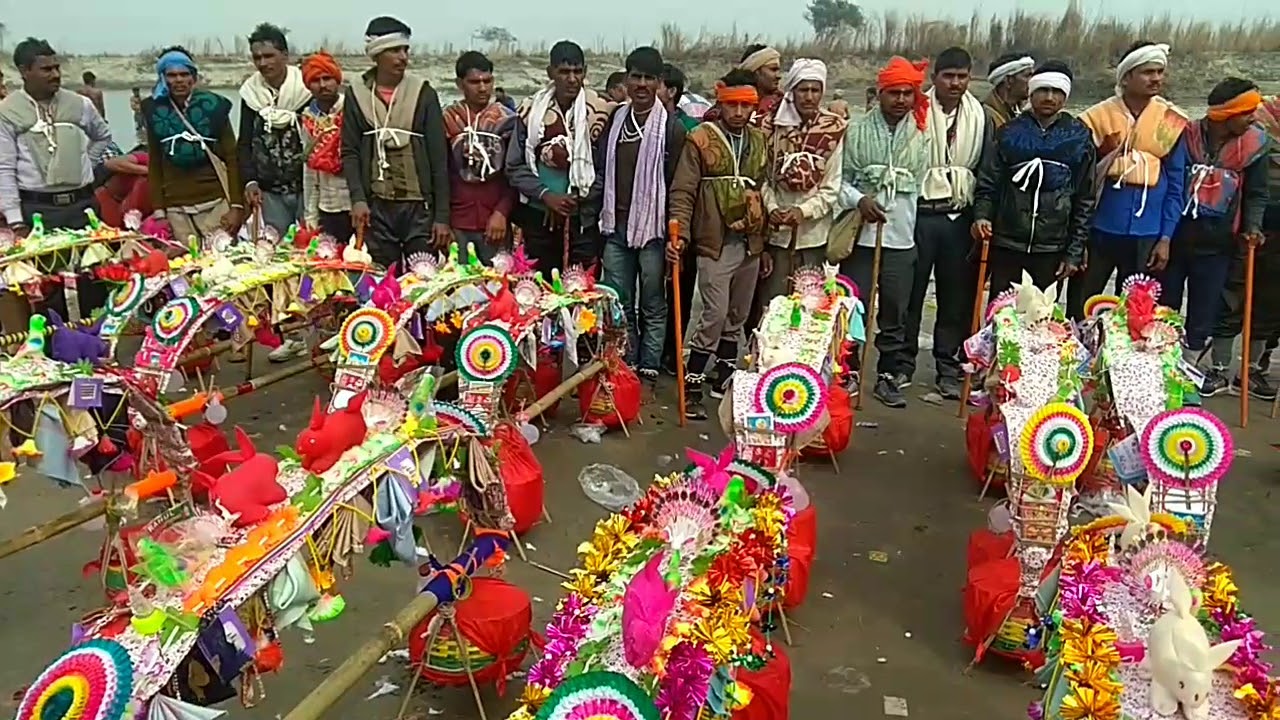 सोरो से कोलेस्वर महादेव मुरैना( म.प्र )तक की संपूर्ण कावड़ यात्रा 14/02/2018
