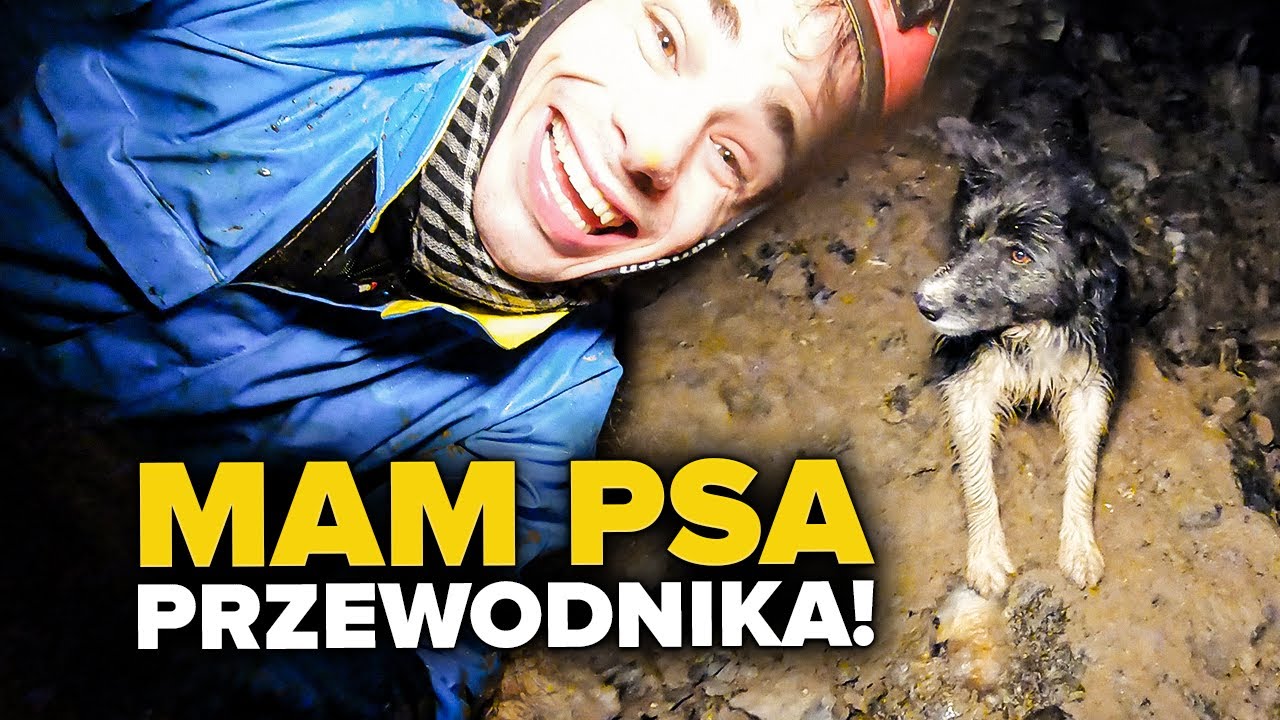 Ludzka Stonoga w Sali Tytan&oacute;w