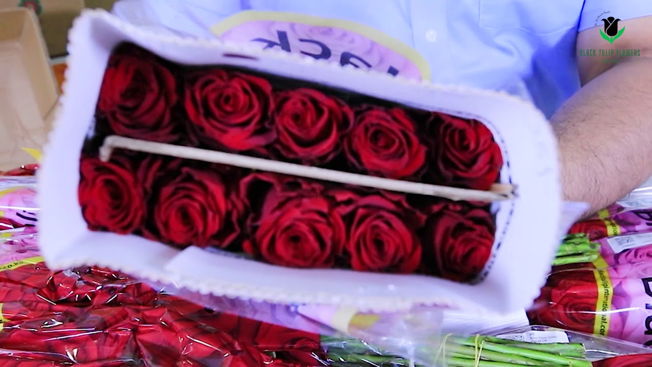 Premium Fresh Cut Wholesale Roses from Kenya | Black Tulip Farms | Black Petals Limited |  BTF Group