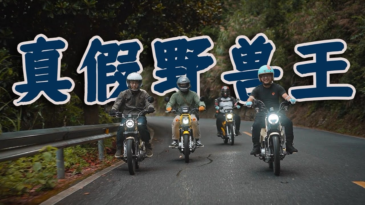 机车测评 | 真假野兽王！本田CC110、海兰德穿越者、宗申野米、嘉陵CocoCross四车大横评 | 骑士网摩托车测评 | 幼兽 | Honda CC110