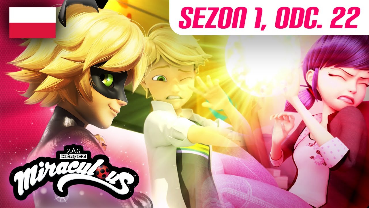 🐞 POCZĄTKI: CZĘŚĆ 1 – Cały Odcinek PO POLSKU 🇵🇱🐾 | Sezon 1 Odc. 22 ▶️ | Biedronka i Czarny Kot