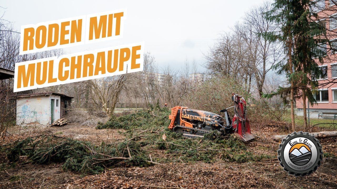 Roden mit der Mulchraupe