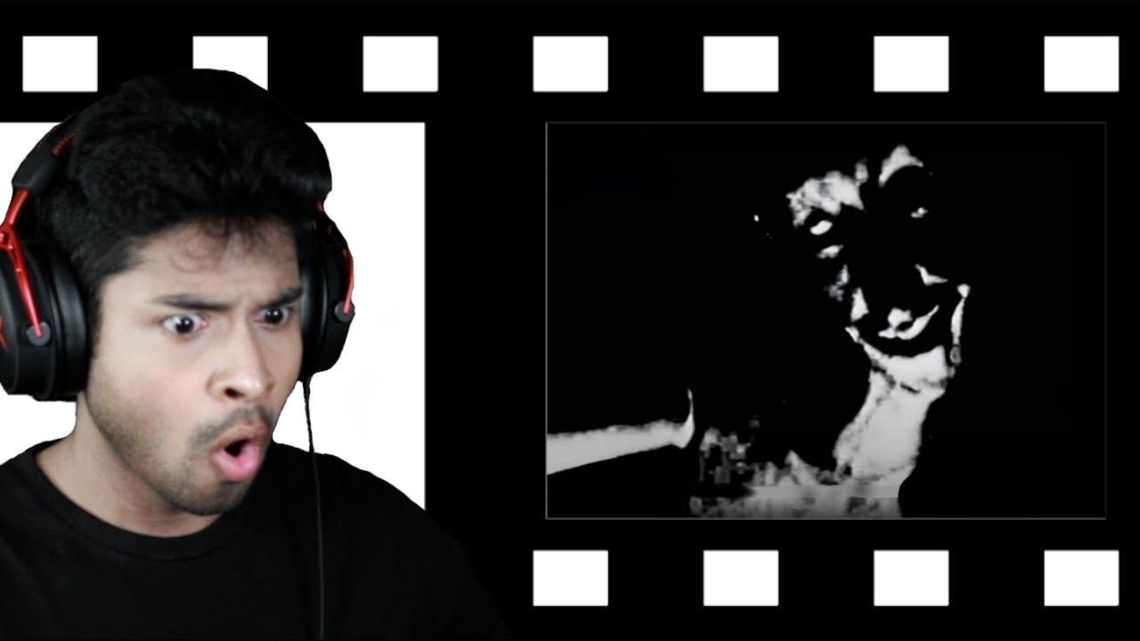 THE ALTERNATE FINALLY SHOWS ITSELF! | The Mandela Catalogue Vol.333 (Reaction)