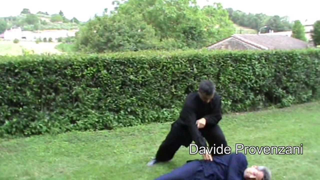Chen Taijiquan martial applications. Chenjiagou Wang Xian Italy