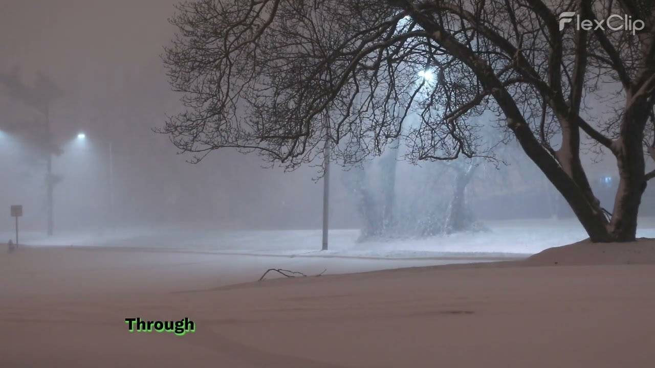 A Lonely Night