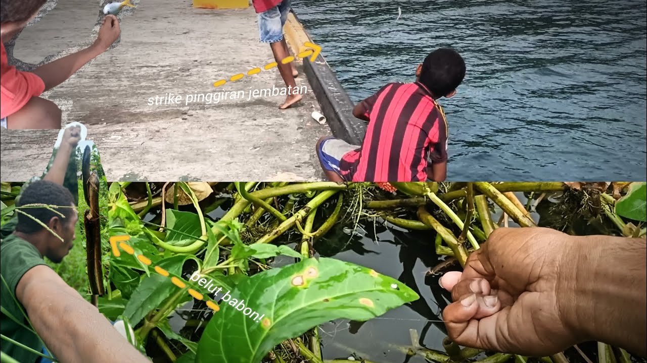 KEMBALI KE PINGGIRAN JEMBATAN, PASANG PANCING DIHAJAR BELUT BABON!