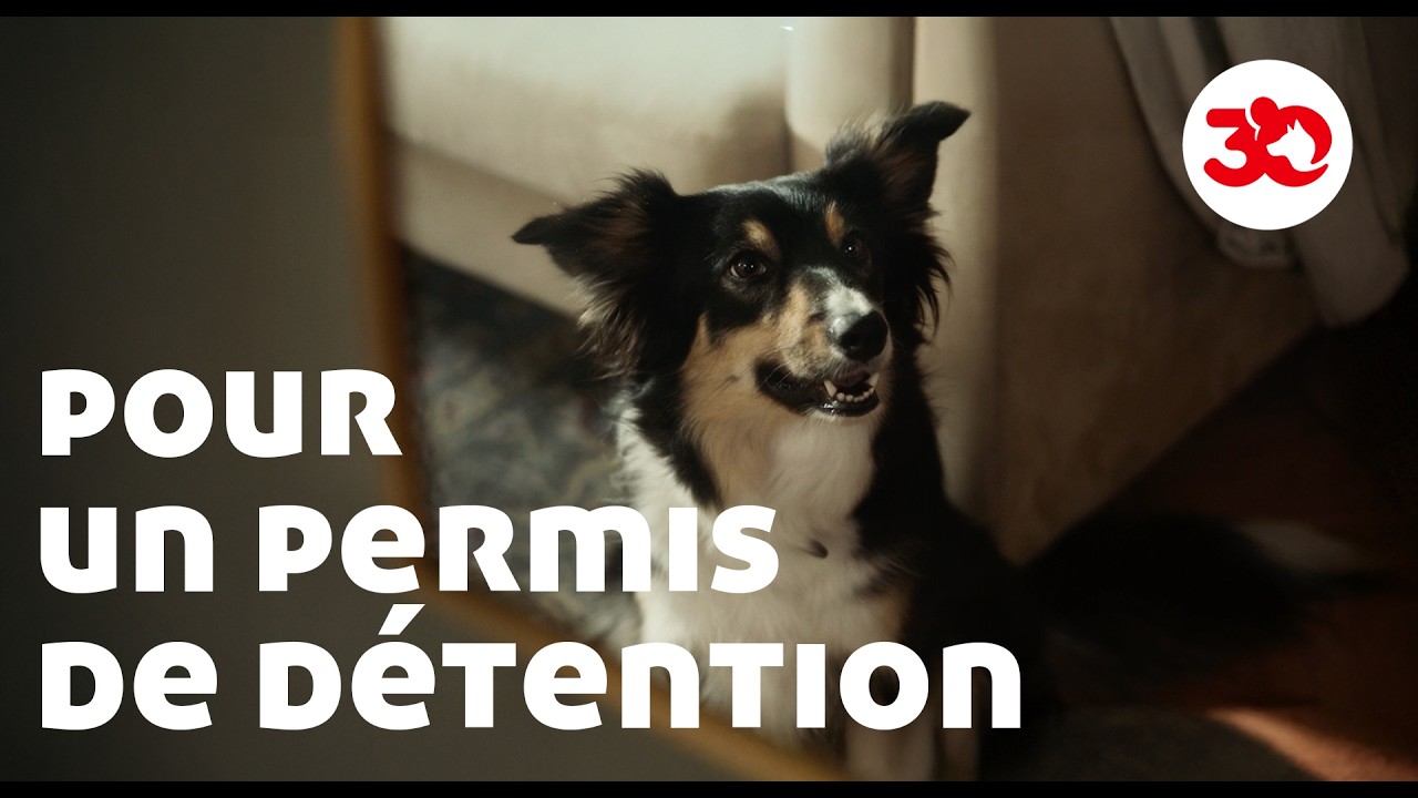 Jour après jour – Campagne Fondation 30 Millions d’Amis 2025 contre la maltraitance animale
