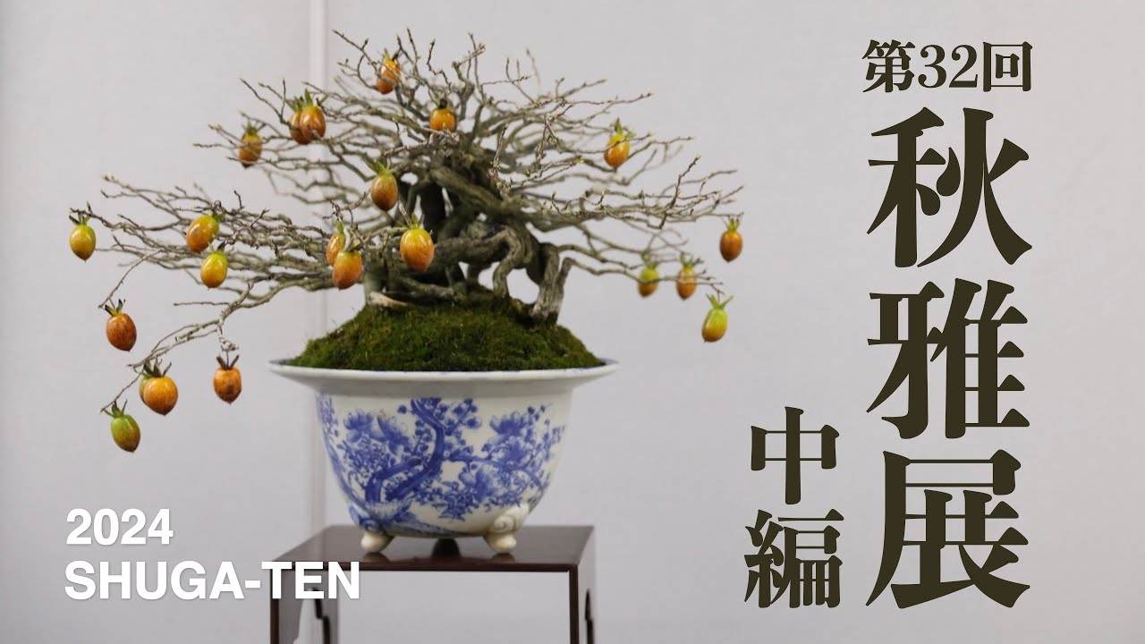 【中編】小品盆栽フェア 第32回 秋雅展【2024】