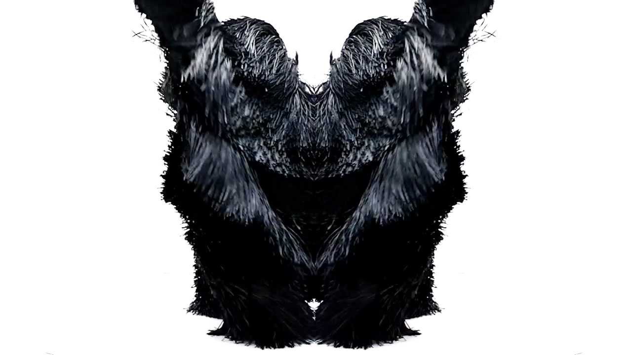 Nick Cave Project