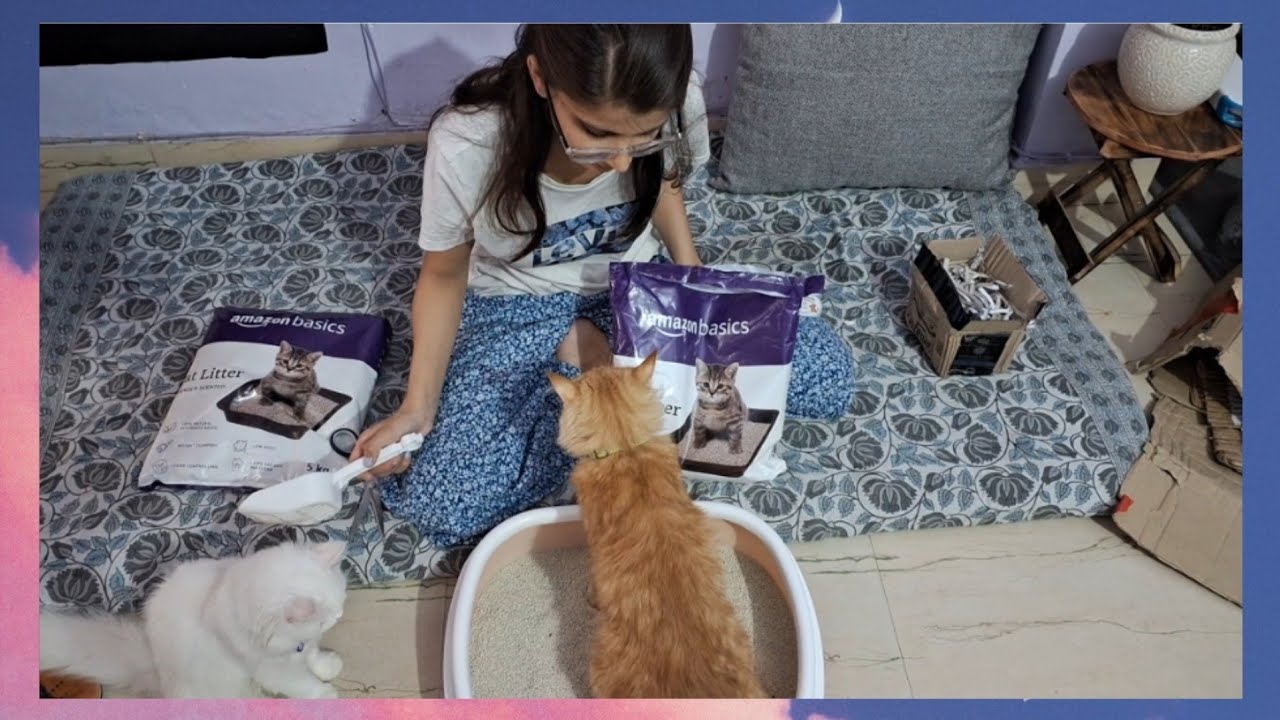 Cat Litter aur paw moisturizer ki unboxing🐈Rusty ne check kiya litter quality ✅️ 