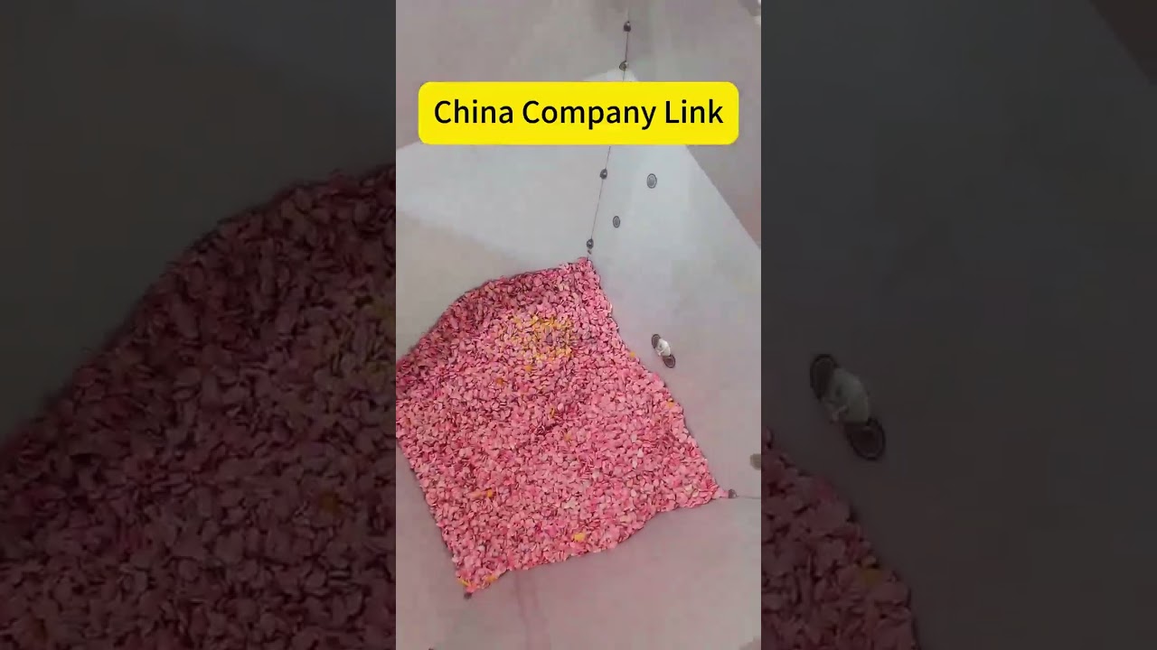 Xiaomi, mung bean, corn kernels and other granular bagged packaging machine