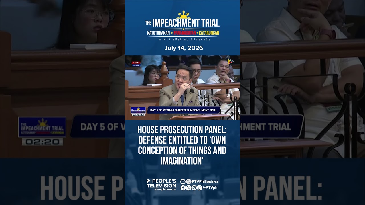 House Prosecution Panel: Defense entitled to &lsquo;own conception of things and imagination'