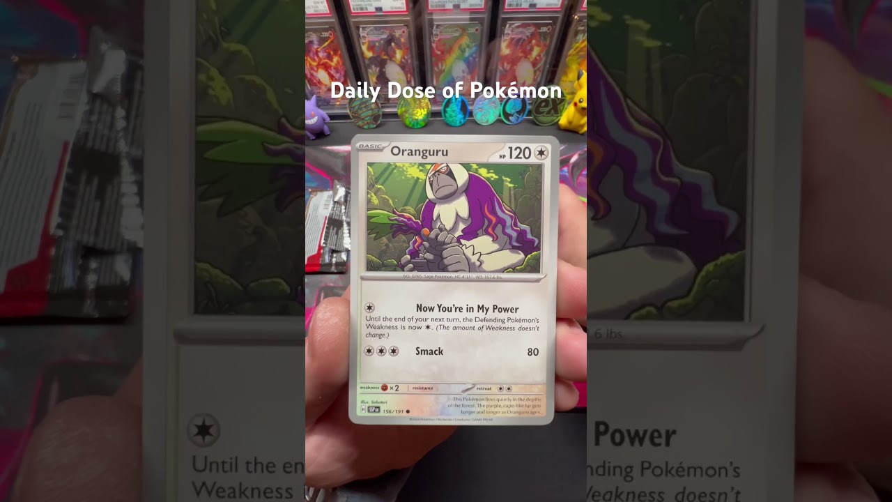 ⚡Daily Dose of Pokémon - SURGING SPARKS PACK OPENING – Hunting the PIKACHU EX GRAIL! 