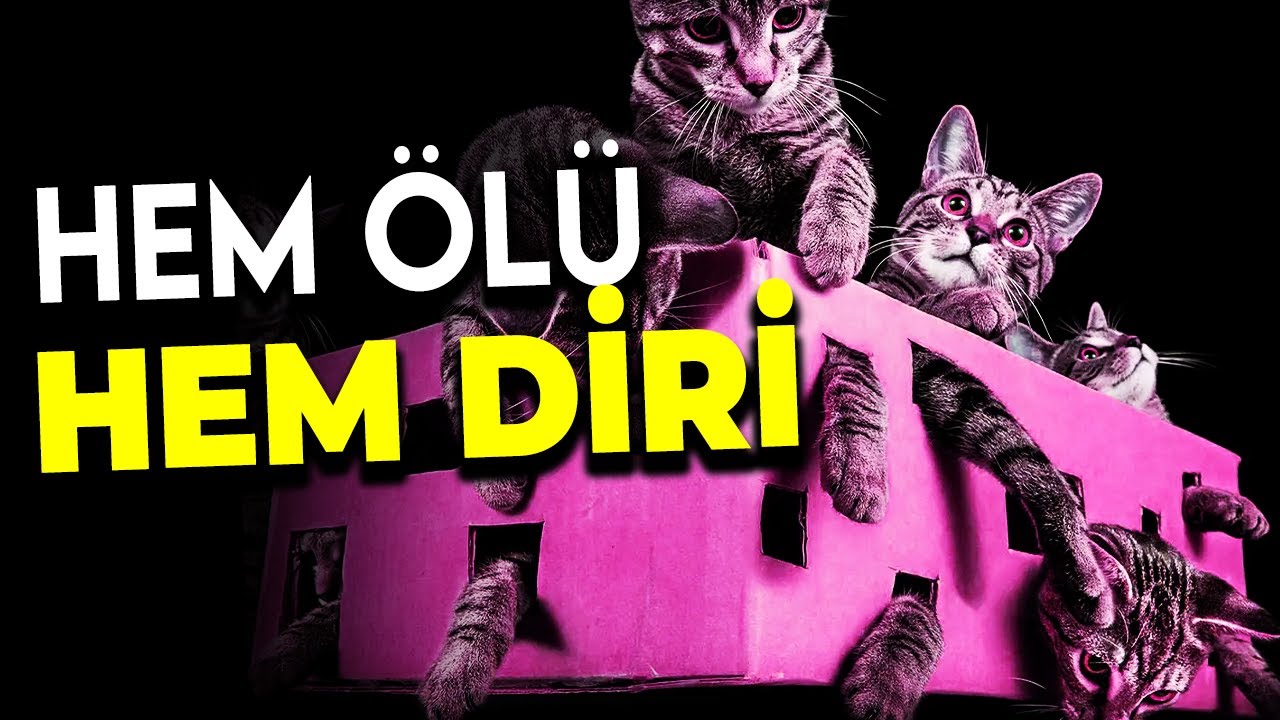 Kuantum Yorumları: Schr&ouml;dinger'in Kedisini Nasıl A&ccedil;ıklarız?