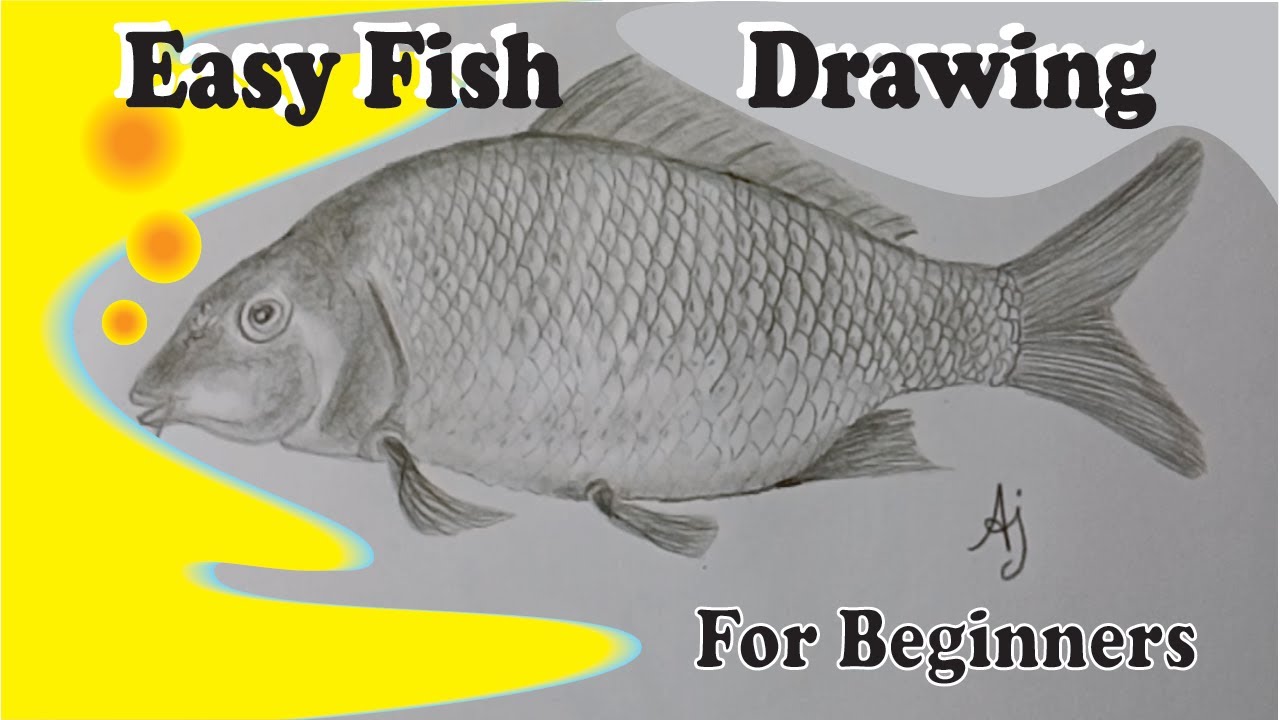 How to Draw a Common Carp | Realistic Common Carp Drawing | Easy Fish Drawing Tutorial for Beginners