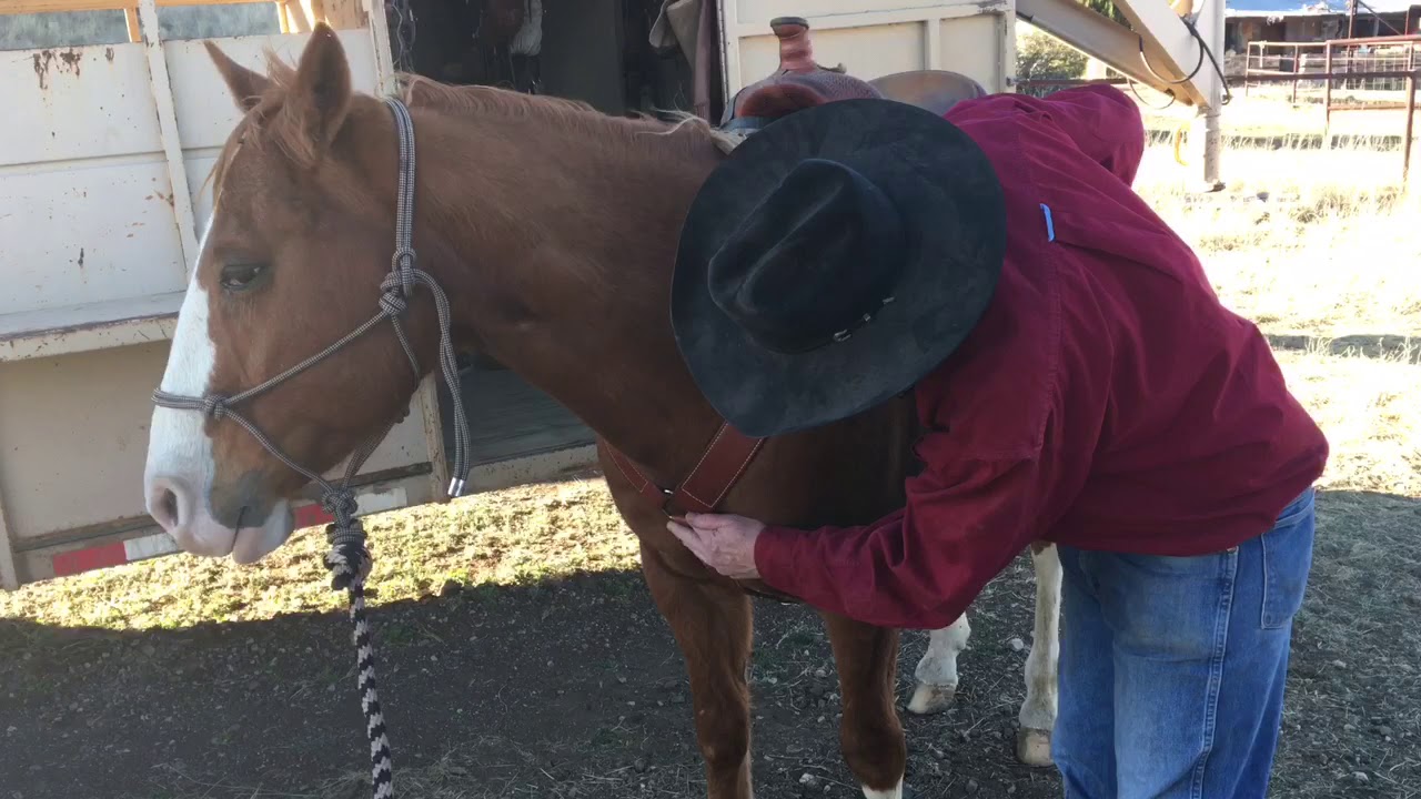 Tack Tip: Breast Collar Fit