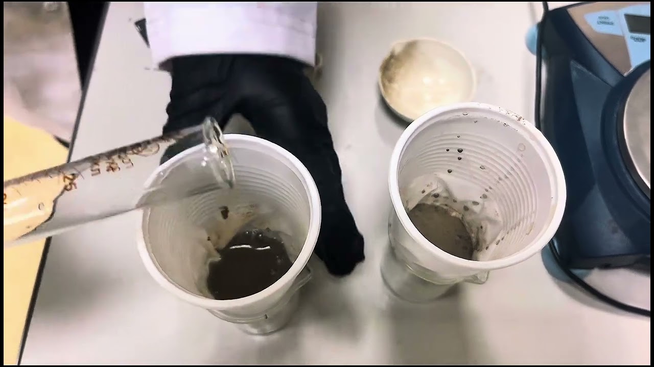 Biochar for Sustainable Development | Infomatrix 2026 | Applied Science