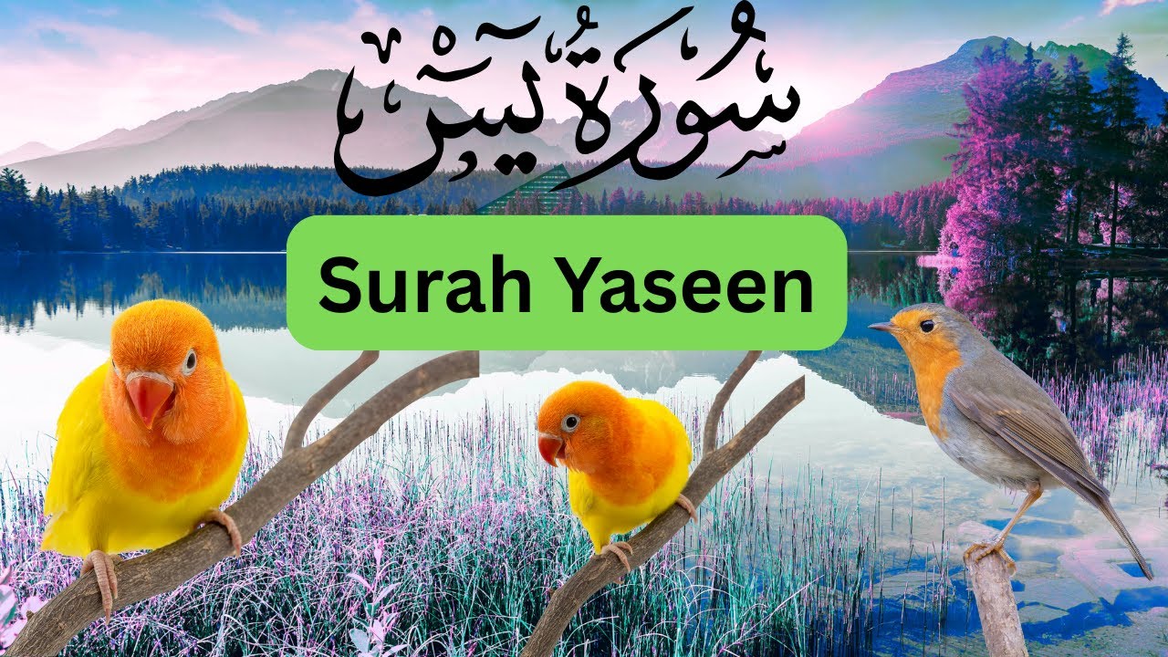 Surah Yaseen (سورۃ یٰس) | Complete Recitation | Heart-Touching Quran #surahyaseen