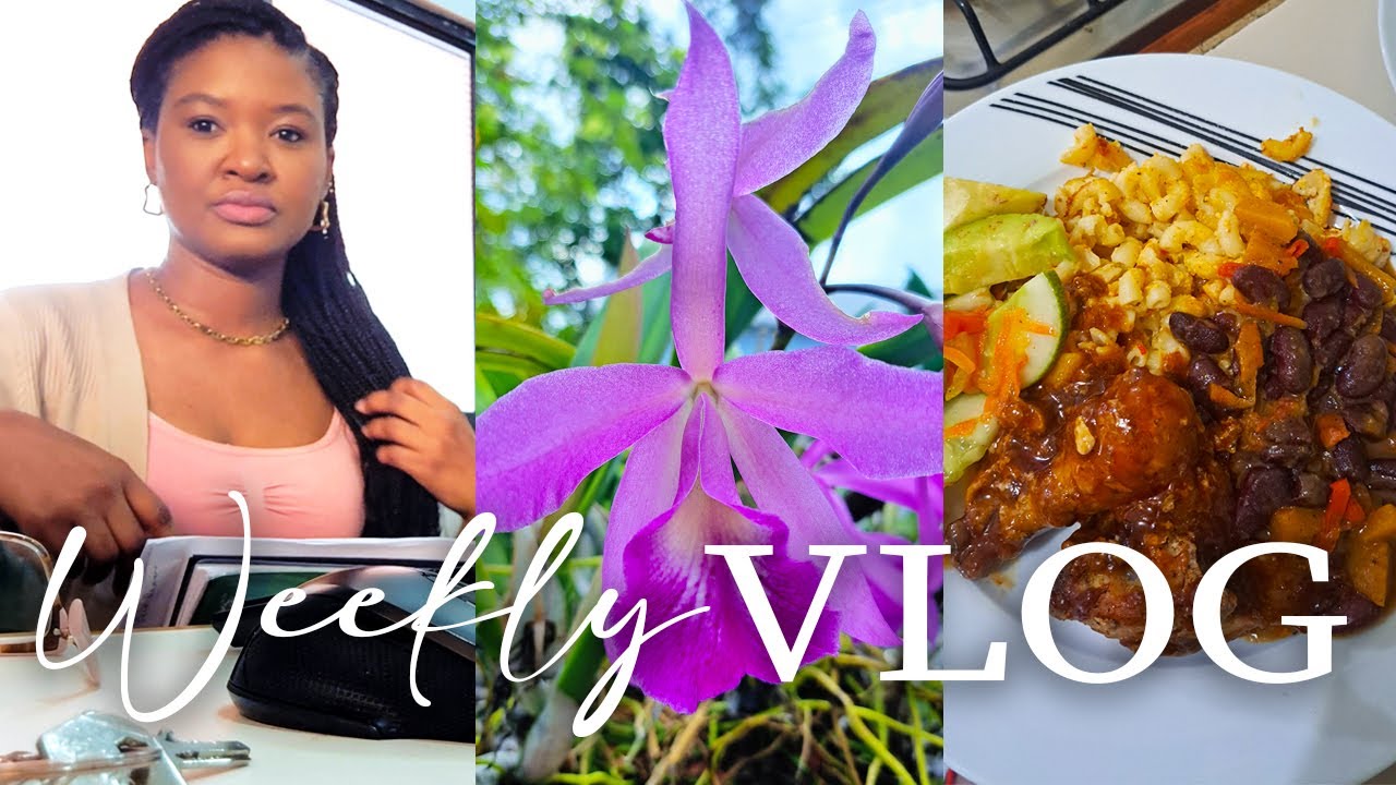 Trinidad Vlog | Admin Day + Trinidad Cooking (Scalloped Potatoes, Baked Chicken & Red Beans)