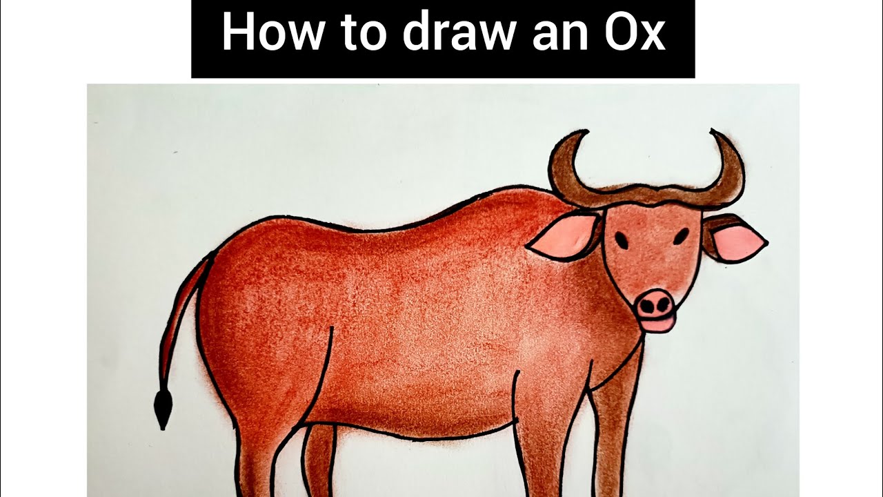 Animal drawings | kids series | part 1 | drawtales by swetha