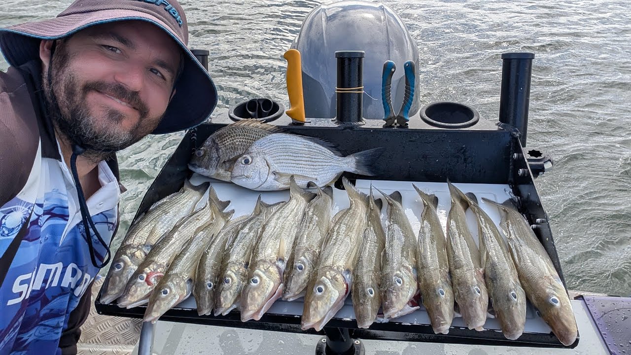 Gold Coast Summer Whiting, Night fishing, 20th June 2025 