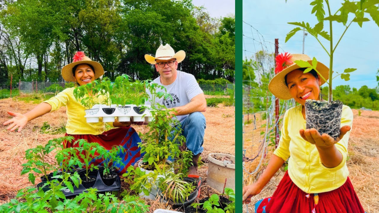 Transplantando TOMATES 🍅 TRABAJANDO en el Huerto en FAMILIA♥️Peruana en 🇺🇸/ Lucy Rich.
