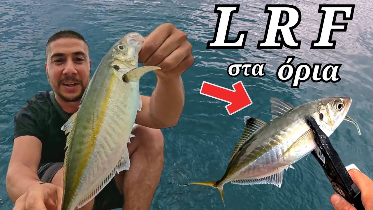 LRF &sigma;&tau;&alpha; ό&rho;&iota;&alpha;...&Mu;&epsilon;&gamma;ά&lambda;&alpha; &kappa;&omicron;&kappa;&kappa;ά&lambda;&iota;&alpha; &sigma;&epsilon; &phi;&rho;&epsilon;&nu;ί&tau;&iota;&delta;&alpha;‼️✅️