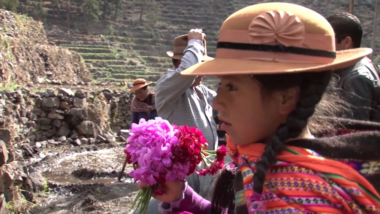 Desarrollo de Andenería en el Perú