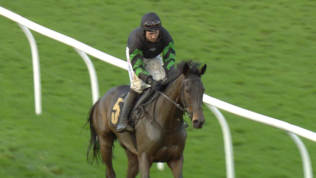 Supreme favourite! Mydaddypaddy impresses on hurdles debut | Racing TV