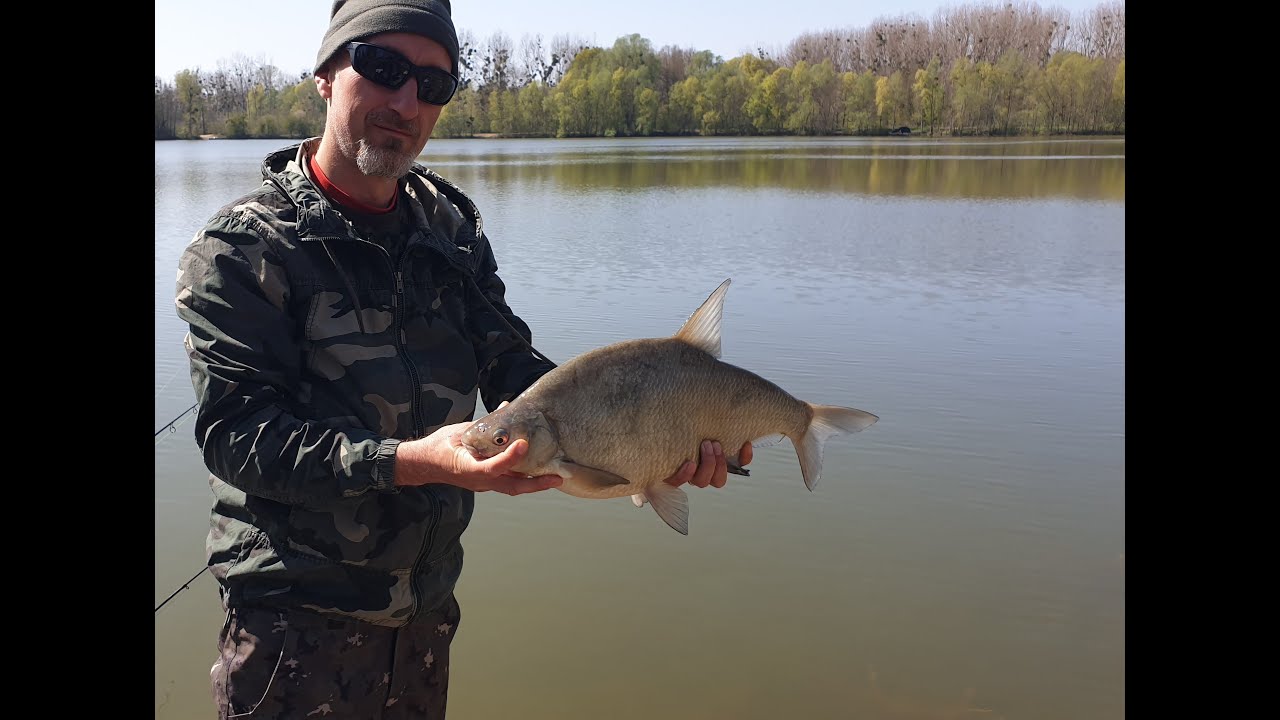 trasaturi feeder platica si rosioara aprilie 2021/peche au feeder bremes et gardons