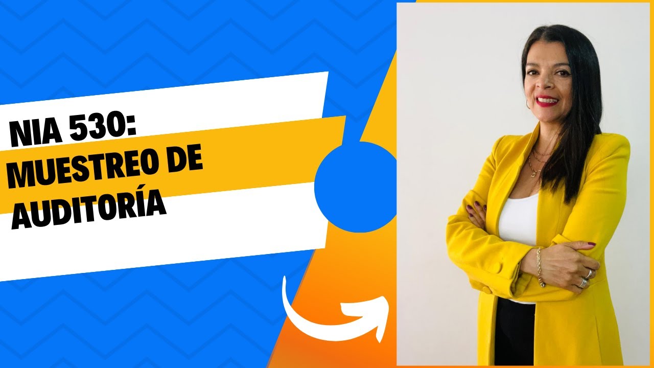 124. NIA 530: C&oacute;mo aplicar el muestreo en la auditor&iacute;a.