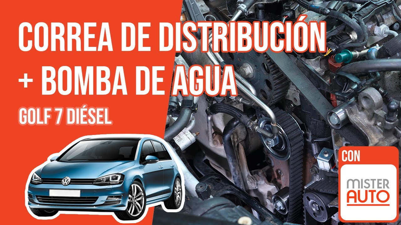 Cómo cambiar la correa de distribución y la bomba de agua Golf 7 1.6 o 2.0 TDI 🚗