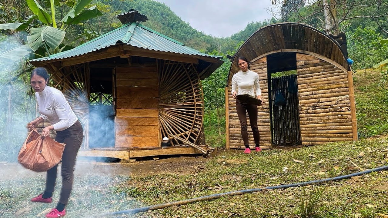 Life in a Wooden House in the Forest - Makes You Want to Stay!