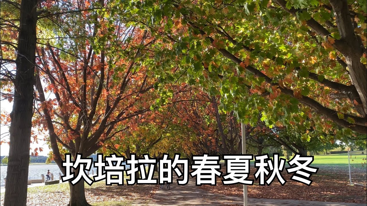 澳洲坎培拉之旅終極篇—一天內的《春夏秋冬》