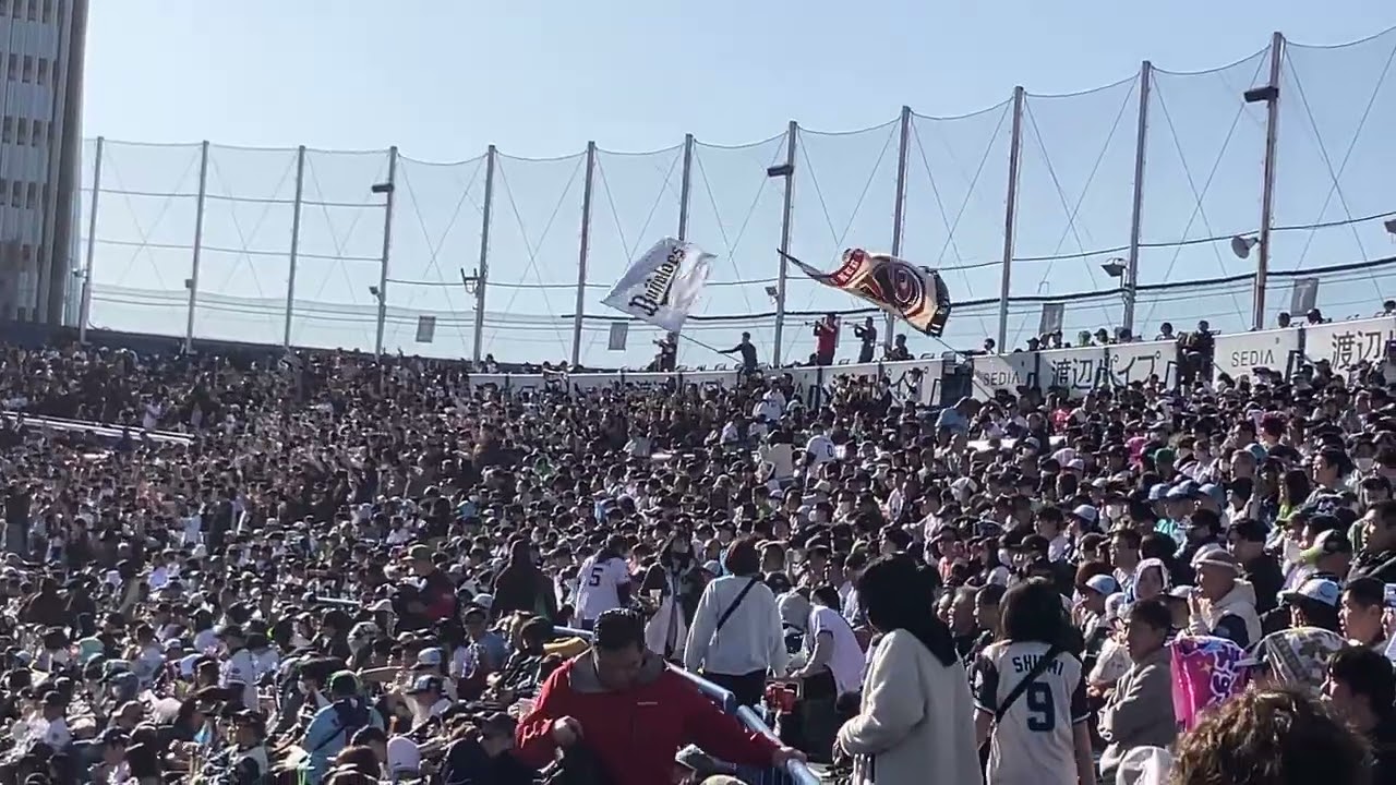 オリックス戦割と初めてだから結構観てて楽しかった#オリックスバファローズ #プロ野球