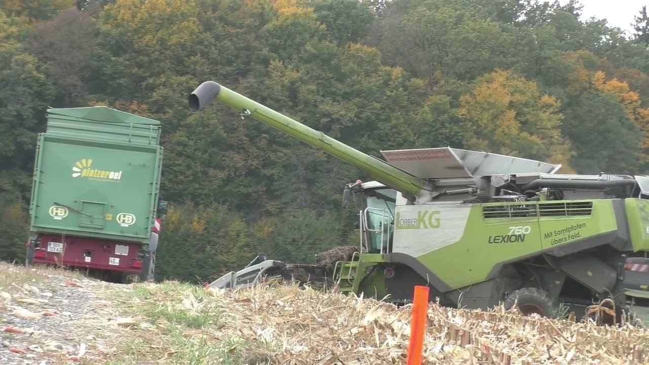 Mais Ernte 2021 Körner Mais Dreschen in  der Steiermark mit Claas Lexion 750 tt und 9 reihigen