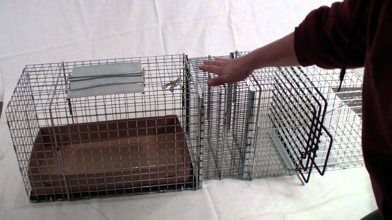 Feral Cat Accessory -  Model C306 Litter Cage Connection