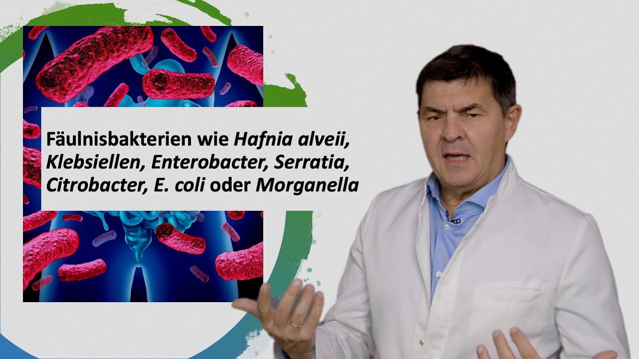 Histaminbildende Darmbakterien  auf natürliche Weise hemmen