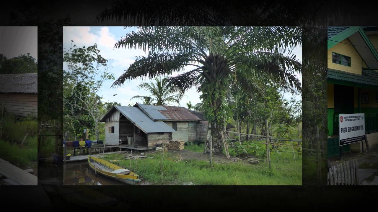 Kibell Family Orangutan Adventure Day 3