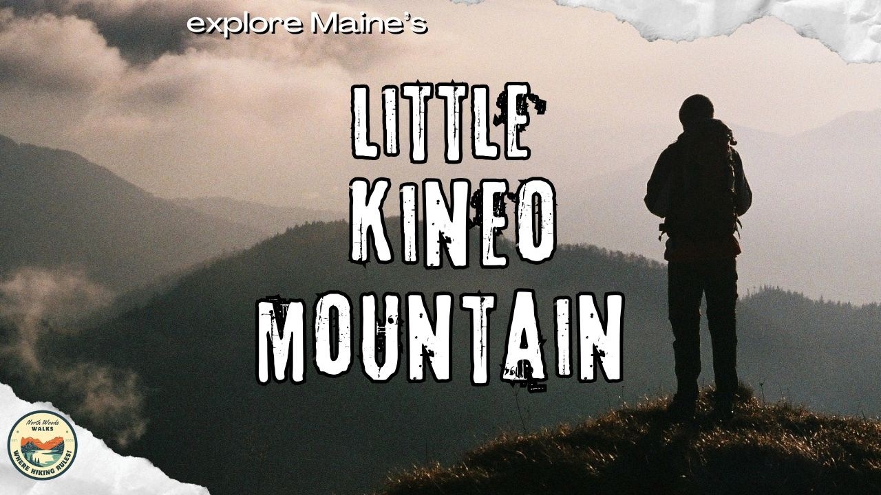 TACKLING THE 'LITTLE' KINEO