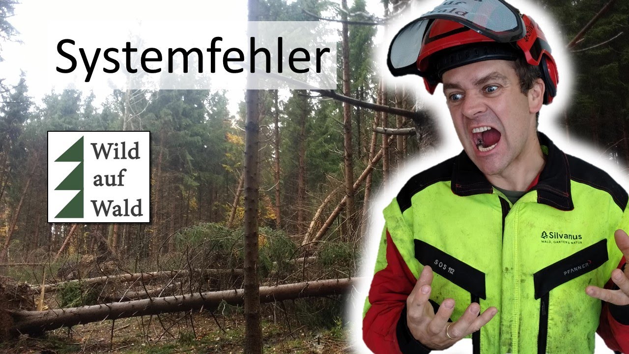🌲7 Todsünden im Wald ☠️ - die Abrechnung! #wildaufwald
