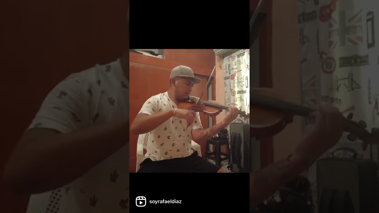 Intro solo de viol&iacute;n Rondinellas | Mariachi  #violin #mariachi