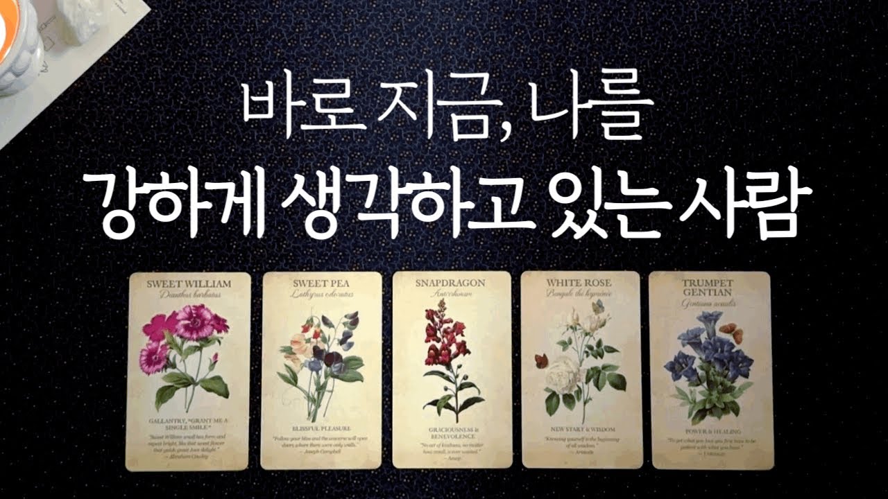 바로 지금, 나를 강하게 생각하고 있는 이 사람✨🌕