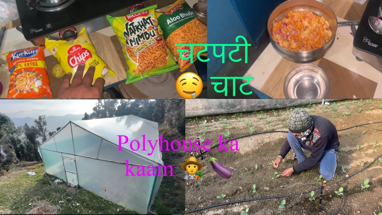 चटपटी🤤चाट और पॉलीहाउस 🧑‍🌾🍆🥔🥬#chat #chatpata #farmer #vegetables #polyhousefarming #abhaybelwal #vlog