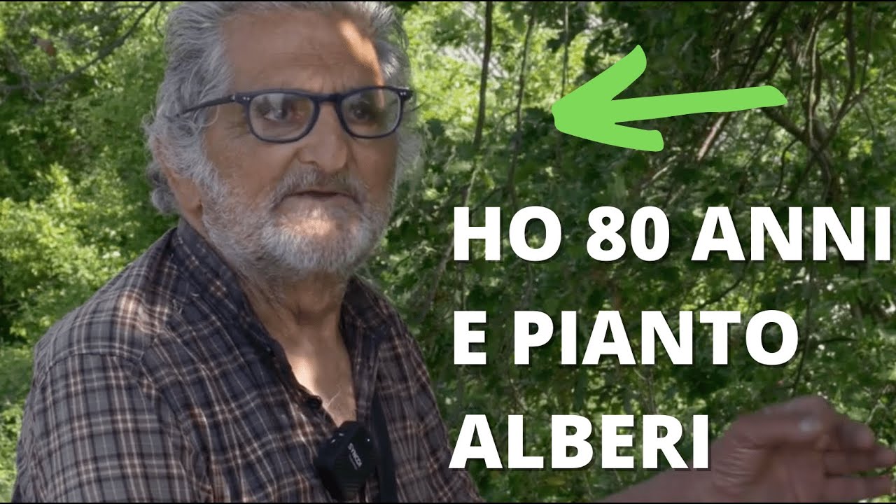 Piantare alberi a 80 anni: la storia di Rolando 🌳🌳🌳