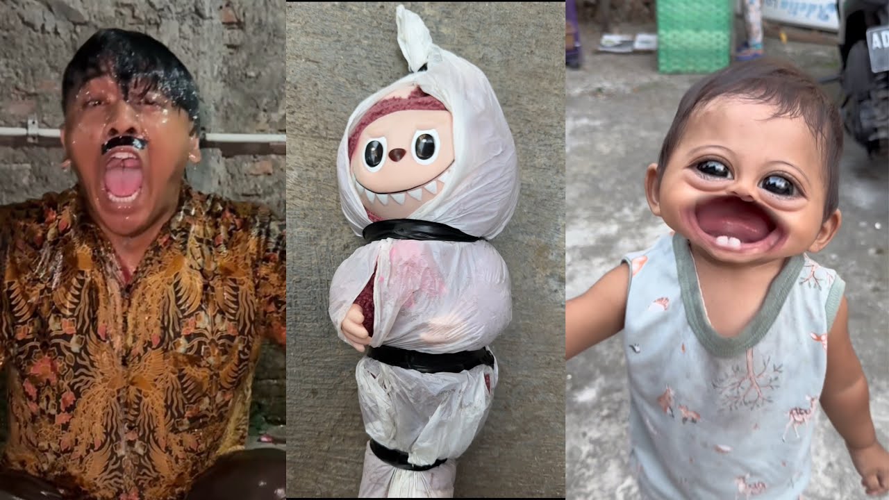 vidio lucu batvis junior bulan agustus 2025