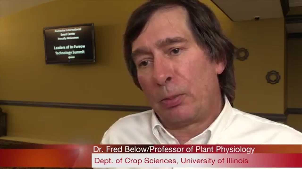Dr  Fred Below Discusses Methods to Maximize Yield