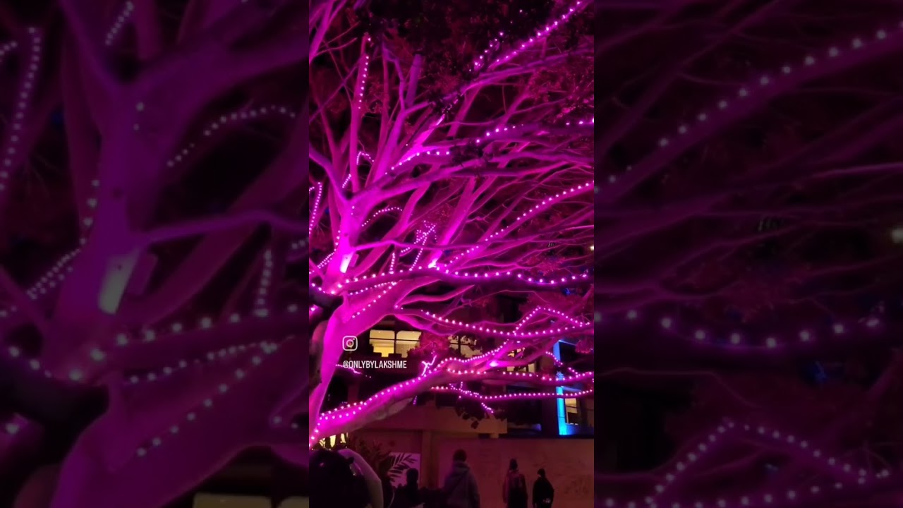 Vivid Sydney 2013 🤩😍🇦🇺 