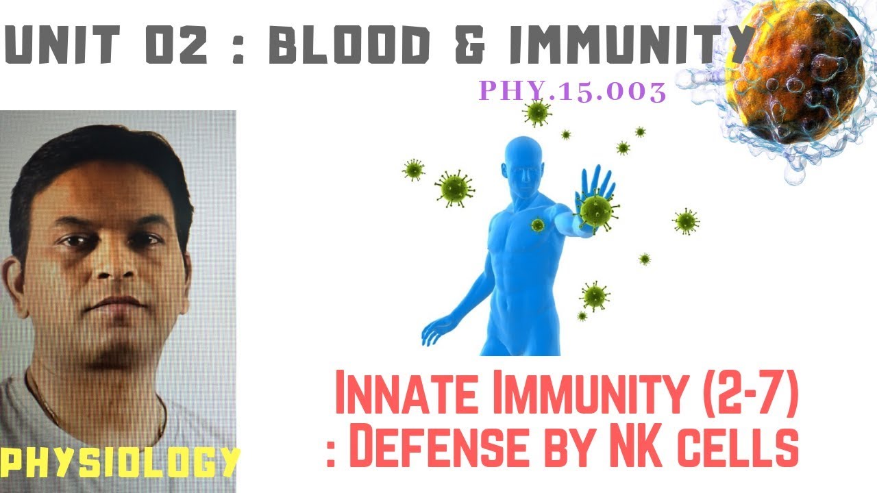 PHY.15.003.Innate Immunity (2-7) &ndash; Defense by NK cells | Dr. Prashant Sharma