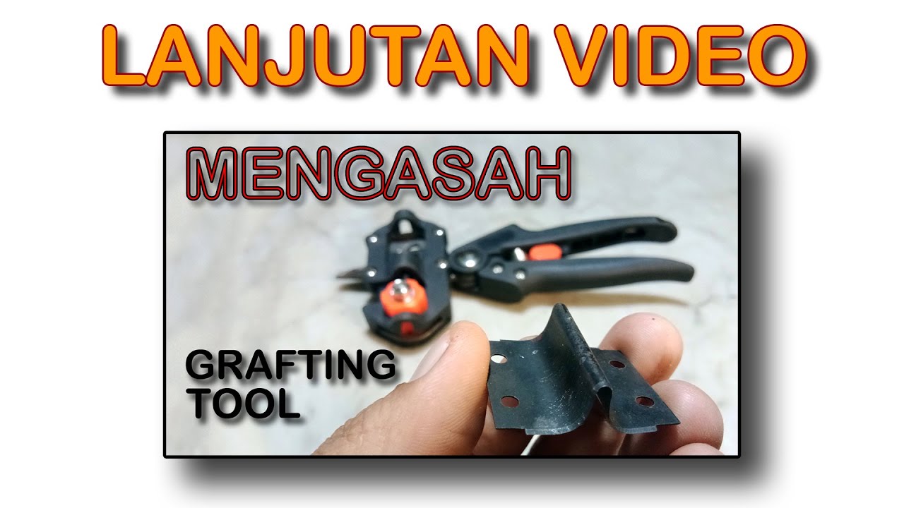 Mengasah Grafting Tool | Part 2